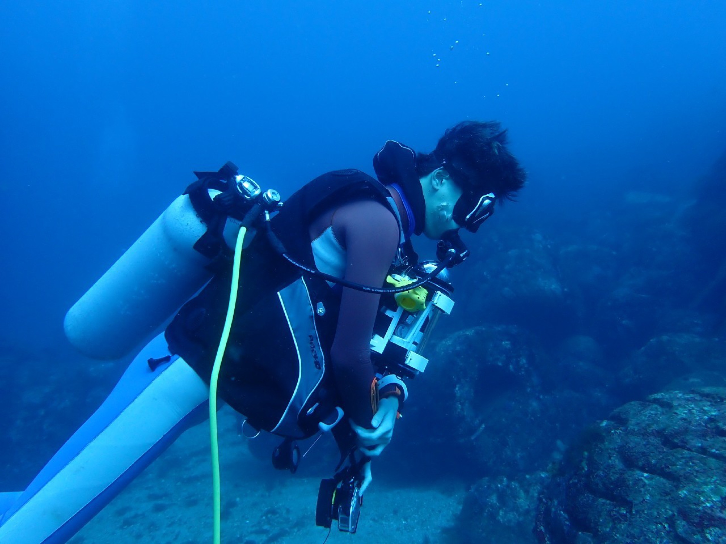 初島 2012